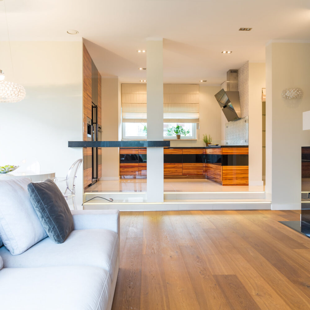 Living room with comfortable couch and fireplace